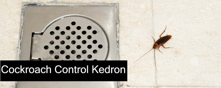 Cockroach Control Kedron
