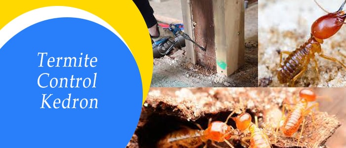 Termite Control Kedron